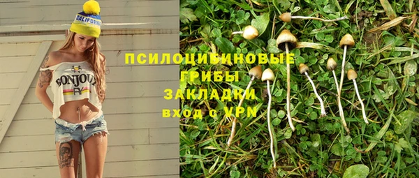 сатива Абинск