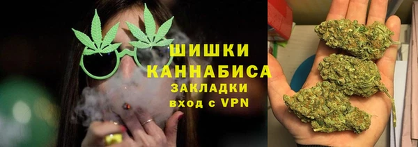 сатива Абинск