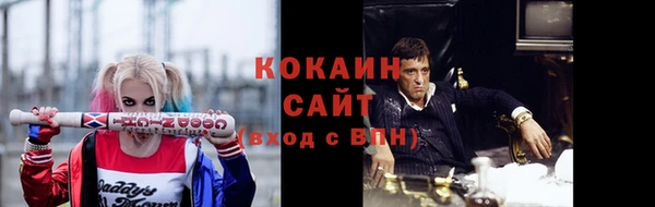 сатива Абинск
