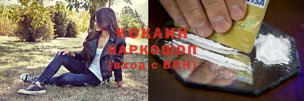 хмурый Абаза