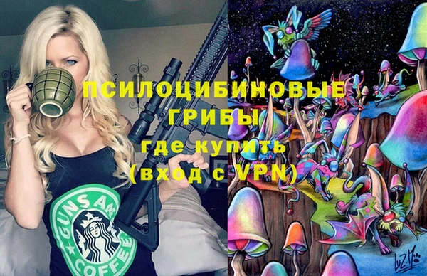 соль ск Новозыбков