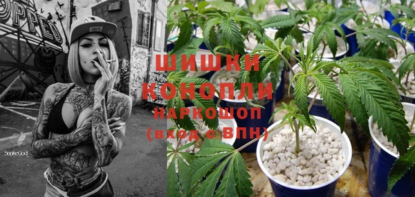 соль ск Новозыбков