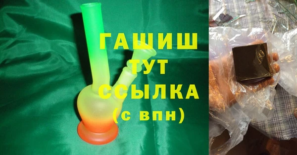 соль ск Новозыбков